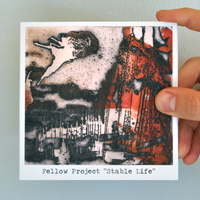 Fellow Project - Stable Life (CD)